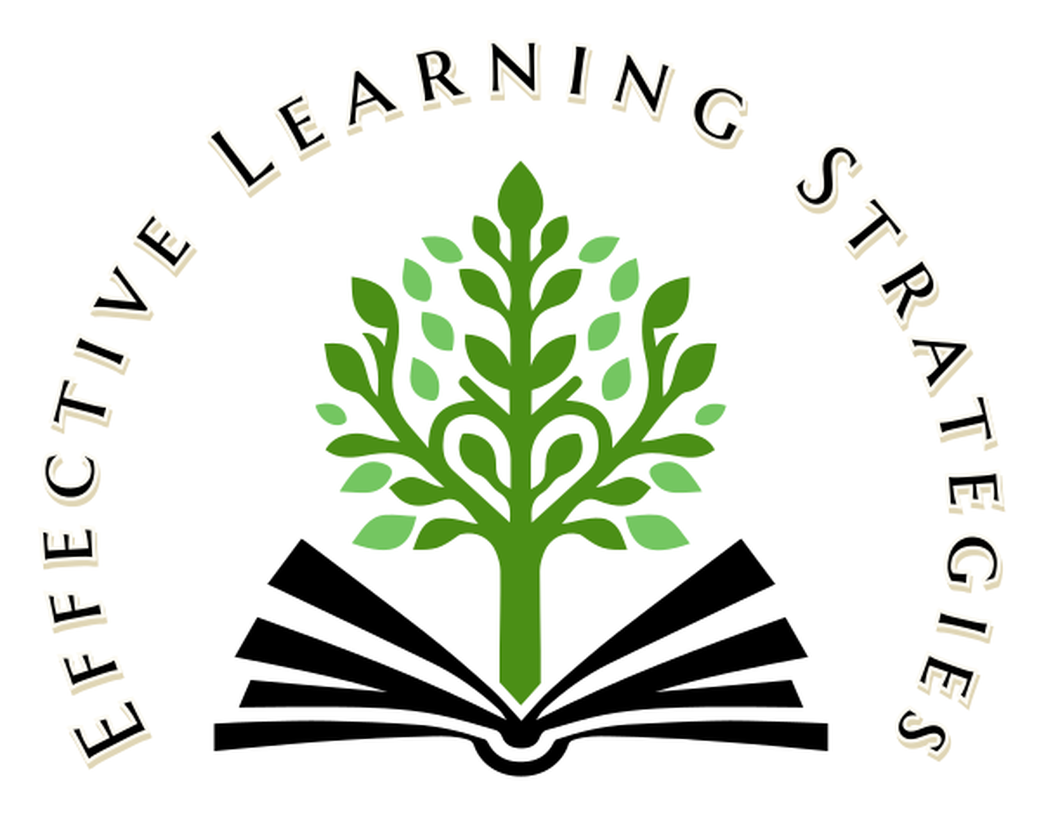 Effective Learning Strategies